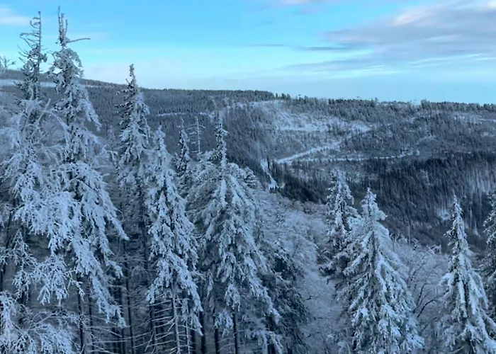 Pod Skrzycznem Πανσιόν